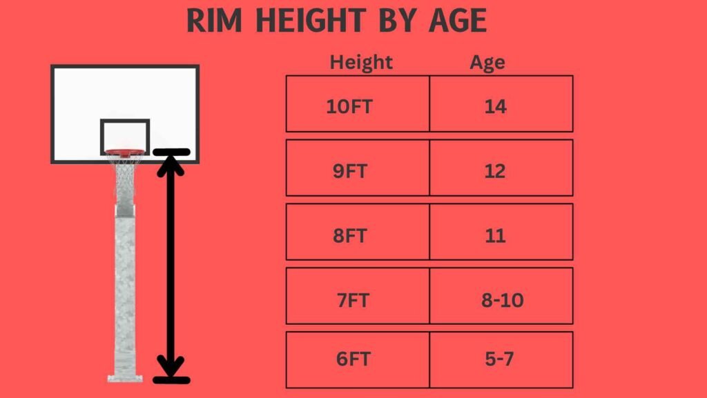 Basketball Hoop Height
