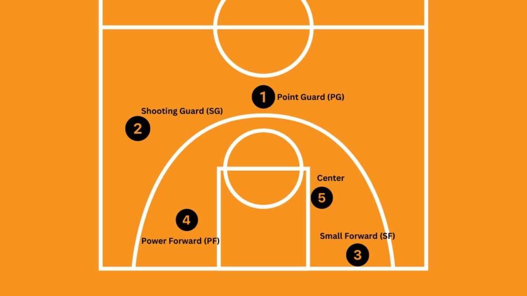Basketball Player position roles