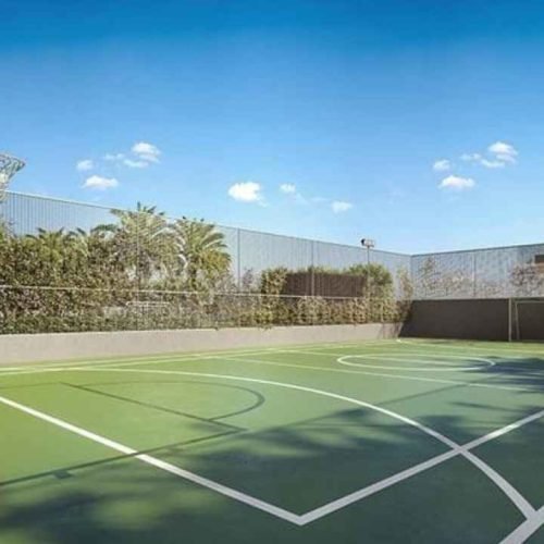 How to level ground for outdoor basketball court? 6 Step by Step guide.